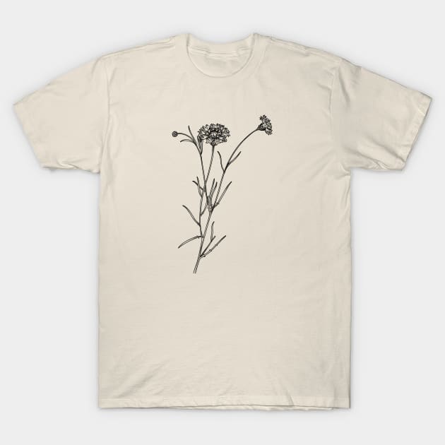 Cornflower Botanical T-Shirt by Haack Art